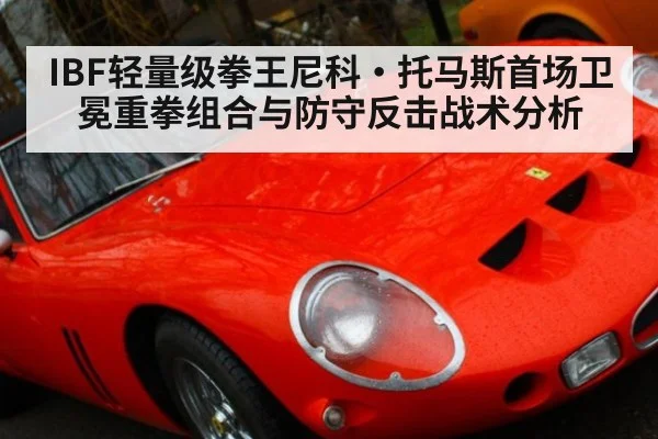 IBF轻量级拳王尼科·托马斯首场卫冕重拳组合与防守反击战术分析（nine game）